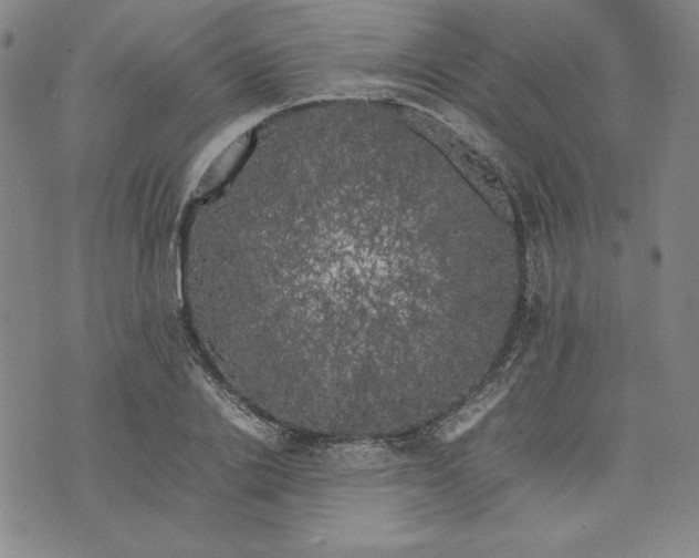 X0000074030838200609111712