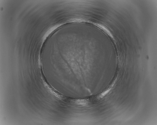 X0000074030839200609111712