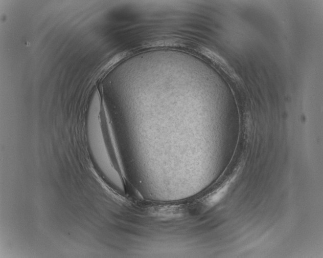 X0000074030841200609111712