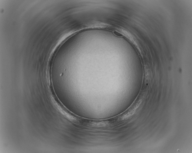 X0000074030843200609111712