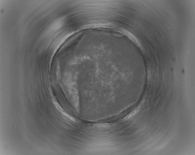 X0000074030844200609111712