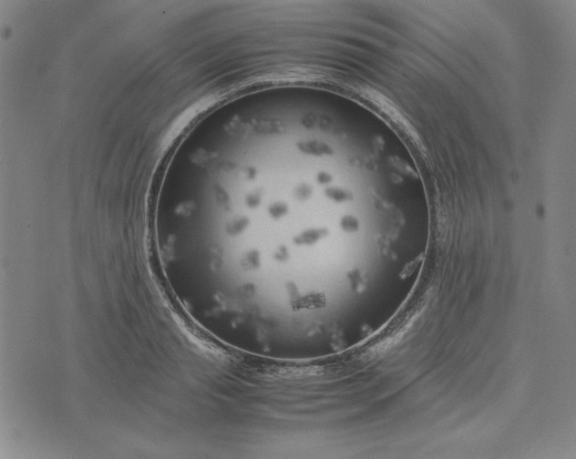 X0000074030845200609111712