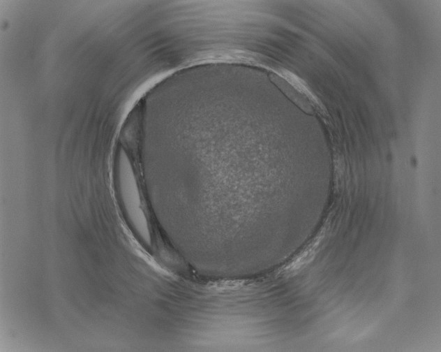 X0000074030846200609111712