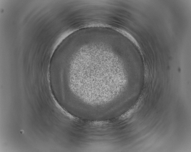 X0000074030847200609111712