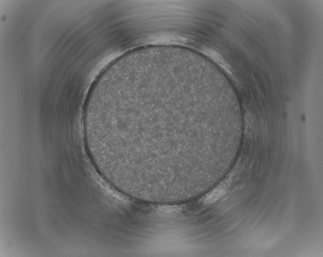 X0000074030848200609111712