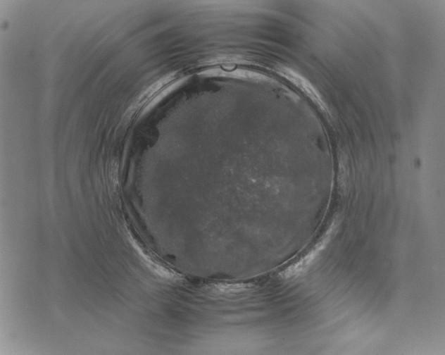 X0000074030849200609111712