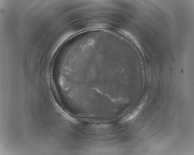 X0000074030851200609111712