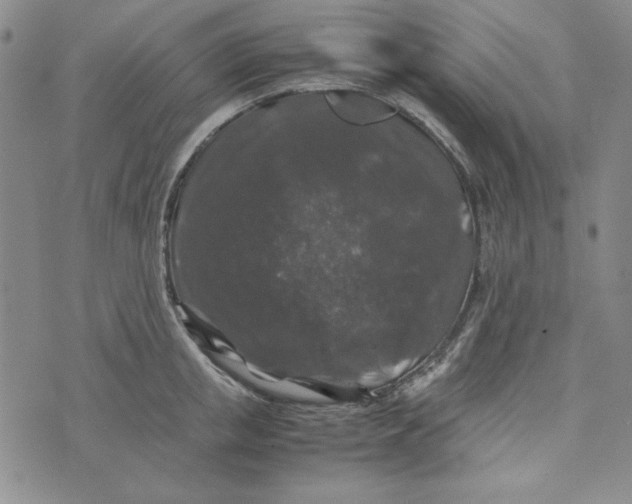 X0000074030853200609111712