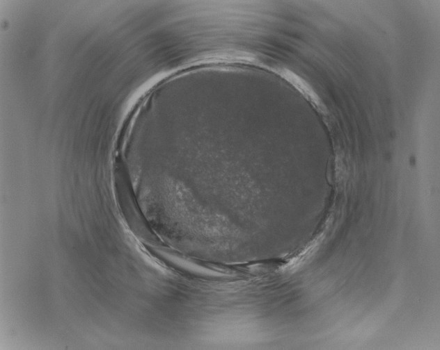 X0000074030854200609111712