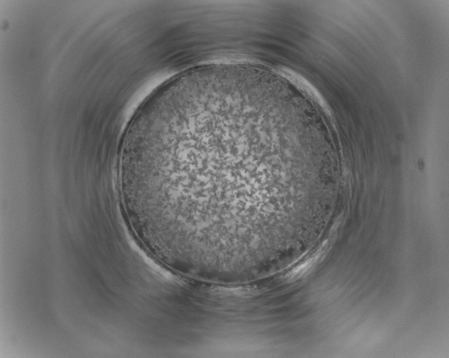 X0000074030855200609111712