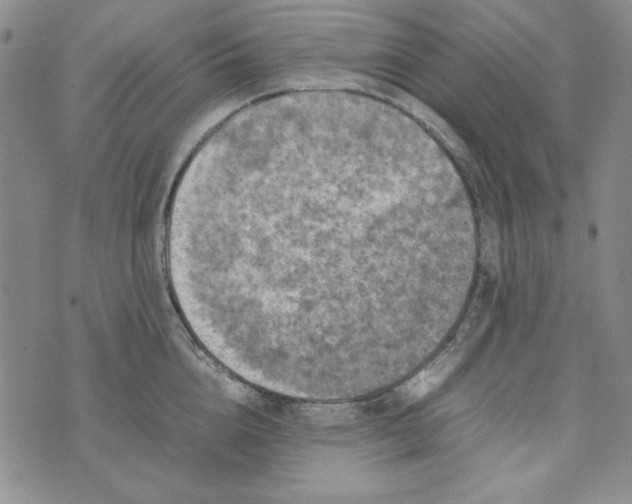 X0000074030856200609111712