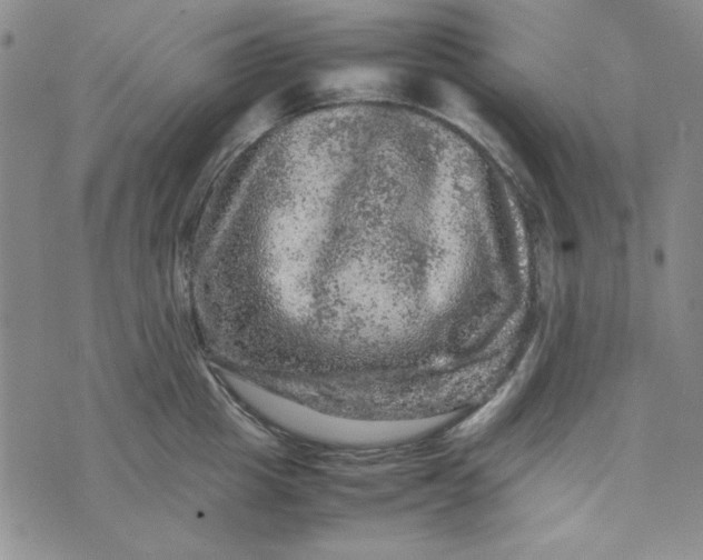 X0000074030857200609111712