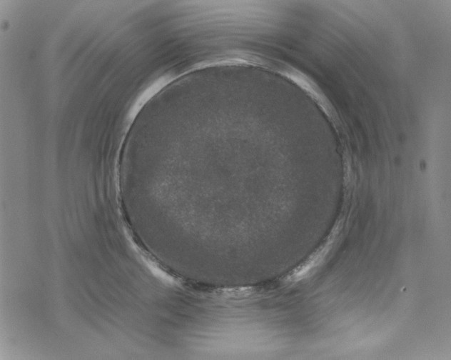 X0000074030858200609111712