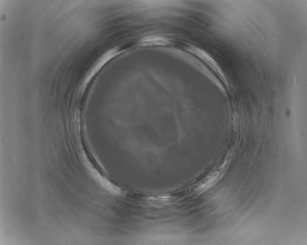 X0000074030859200609111712