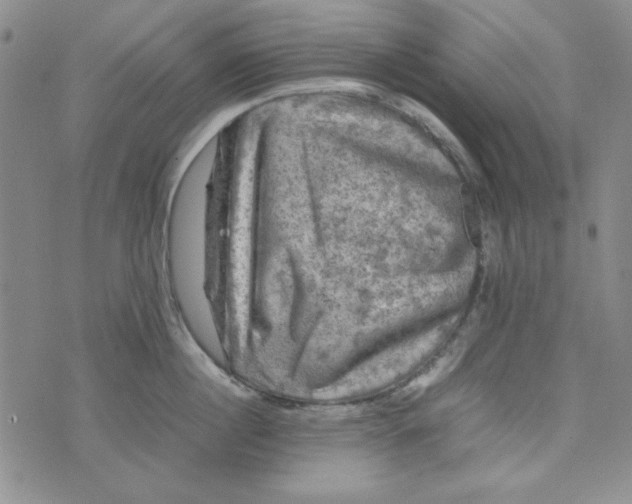 X0000074030860200609111712