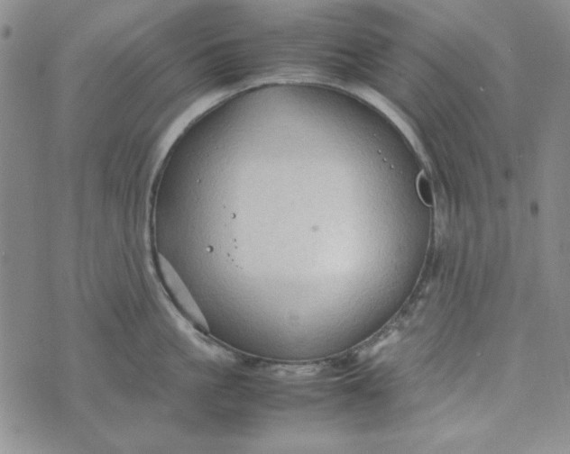 X0000074030861200609111712