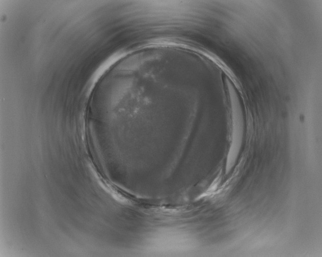 X0000074030862200609111712