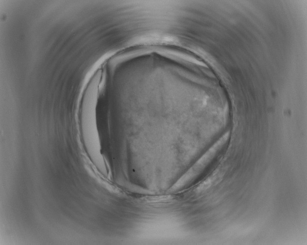 X0000074030864200609111712