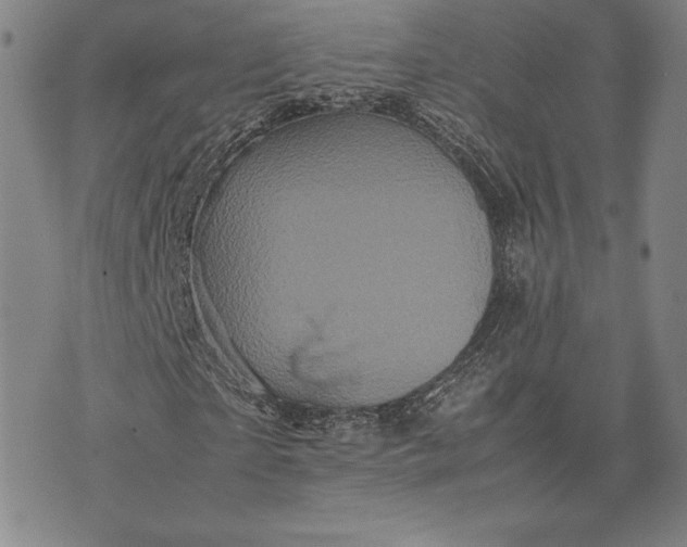 X0000074030865200609111711