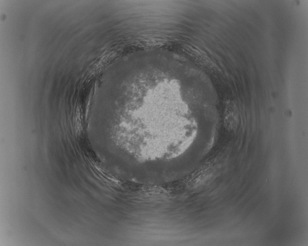 X0000074030866200609111711