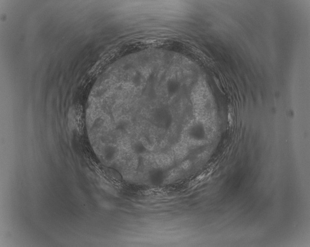 X0000074030867200609111711