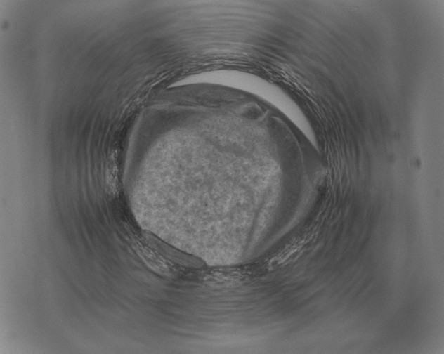 X0000074030868200609111711