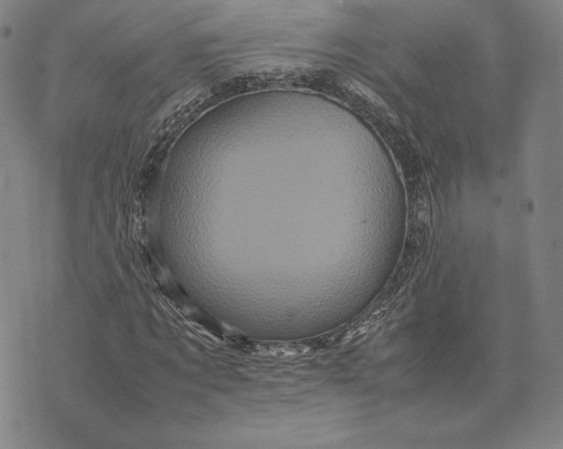 X0000074030869200609111711