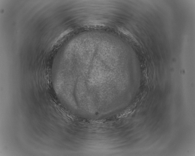 X0000074030870200609111711