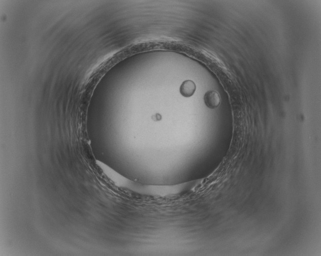 X0000074030872200609111711