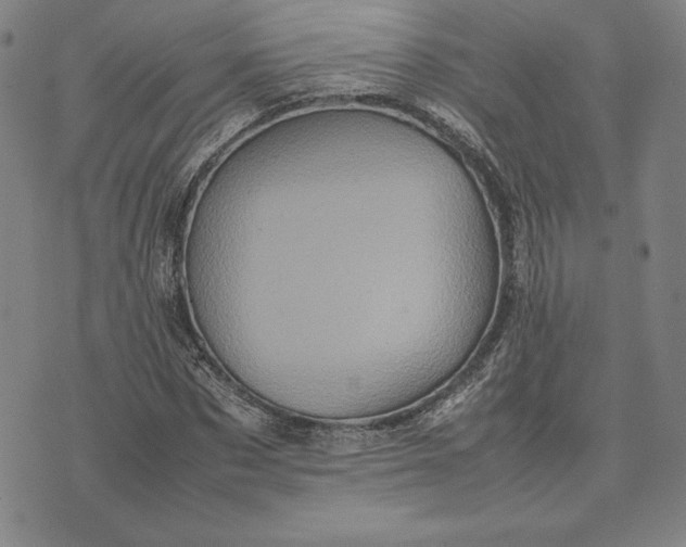 X0000074030873200609111711