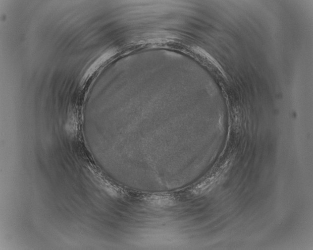 X0000074030874200609111711