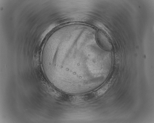 X0000074030875200609111711