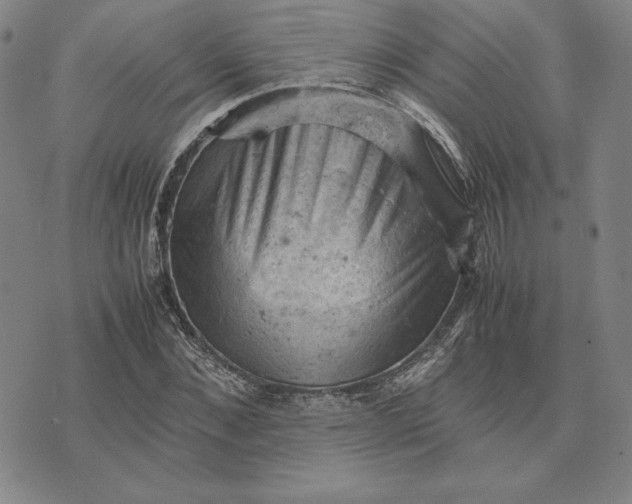 X0000074030876200609111711