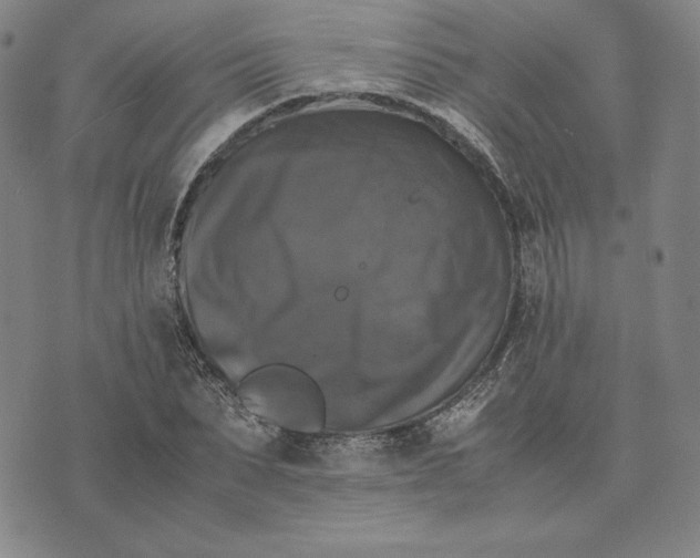 X0000074030879200609111711