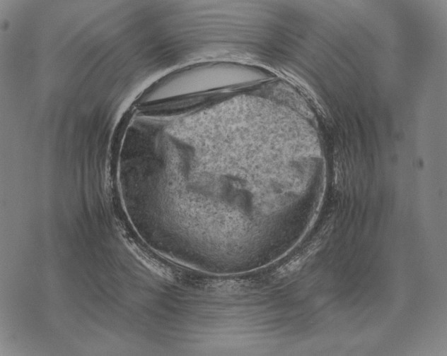 X0000074030880200609111711