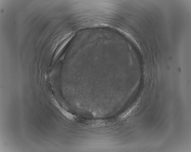 X0000074030881200609111711