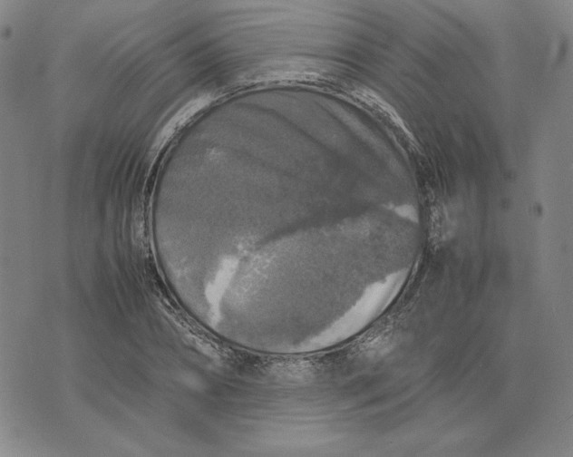 X0000074030882200609111711