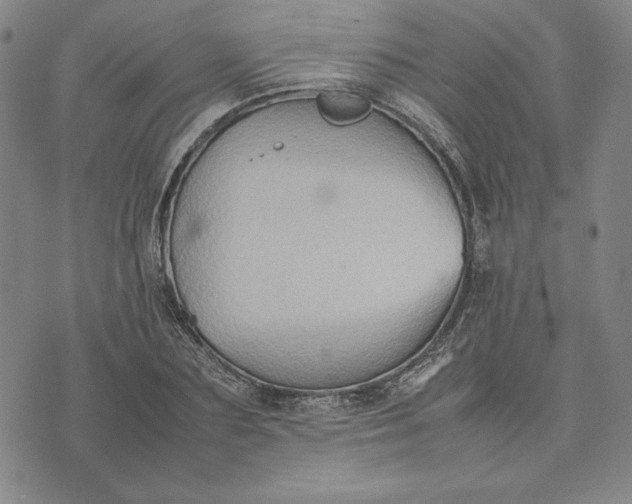 X0000074030883200609111711