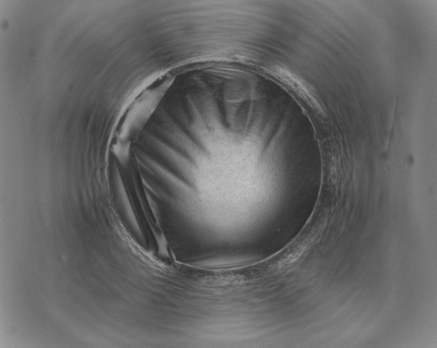 X0000074030884200609111711