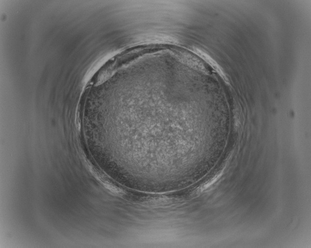 X0000074030885200609111711