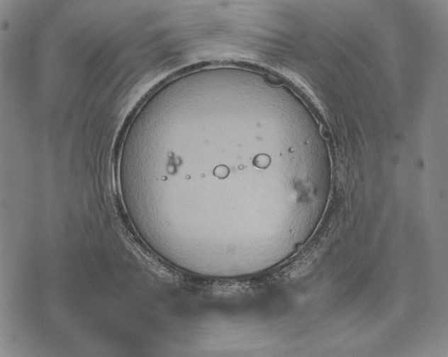 X0000074030887200609111711