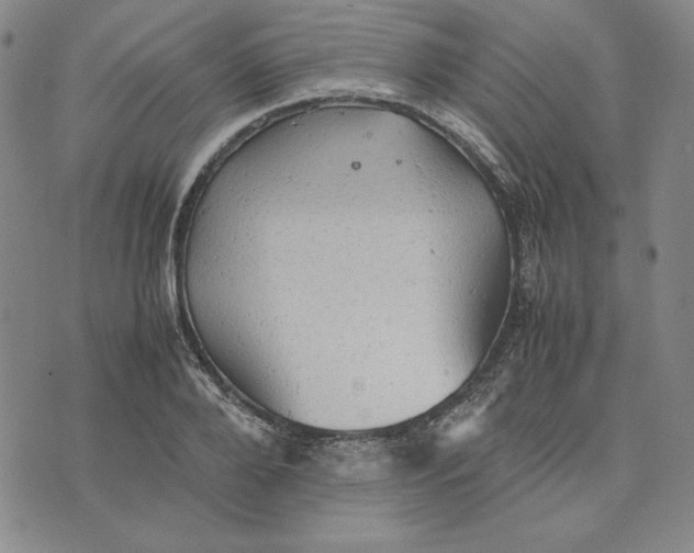 X0000074030888200609111711