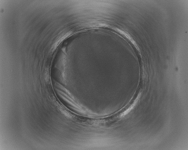 X0000074030889200609111711