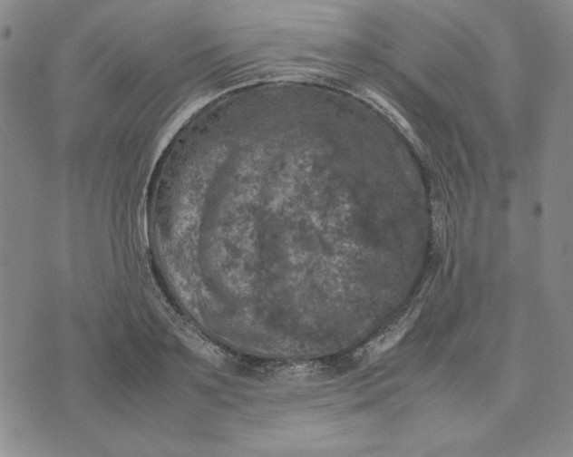 X0000074030891200609111711