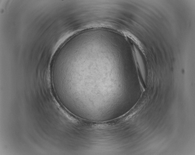 X0000074030894200609111711