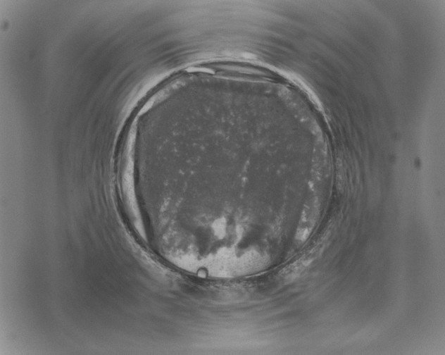 X0000074030895200609111711