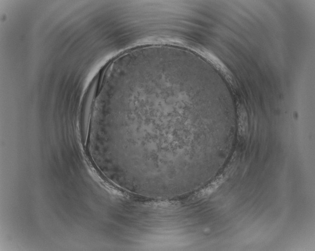 X0000074030896200609111711