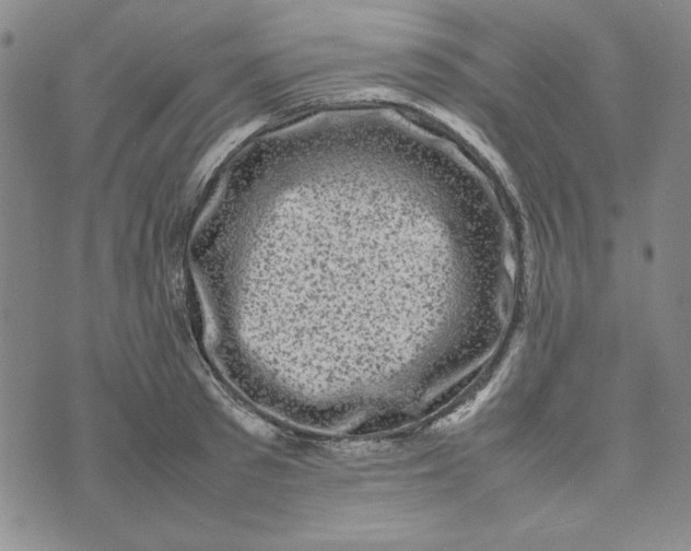 X0000074030897200609111711