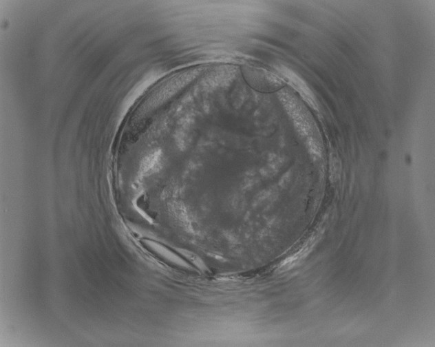 X0000074030899200609111711