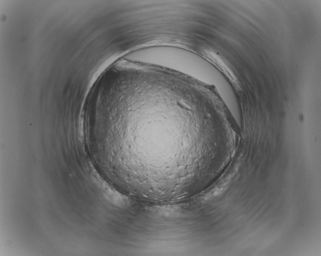 X0000074030900200609111711